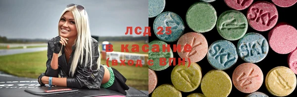 индика Бугульма