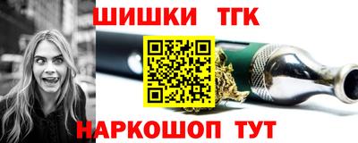 мдпв Бийск
