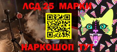 мдпв Бийск