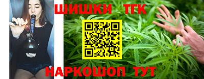 мдпв Бийск