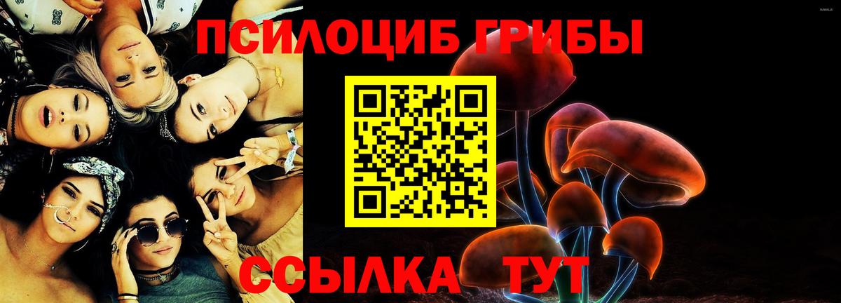 Мурманск  Галлюциногенные грибы Psilocybine cubensis  Вход с VPN  Галлюциногенные грибы Psilocybine cubensis 