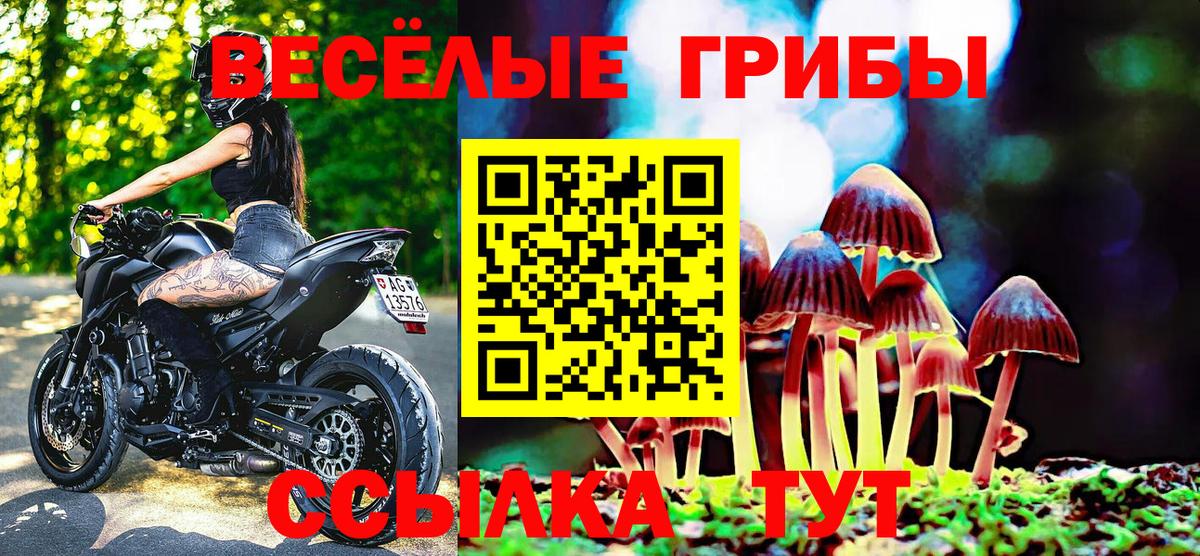 Псилоцибиновые грибы MAGIC MUSHROOMS Мурманск